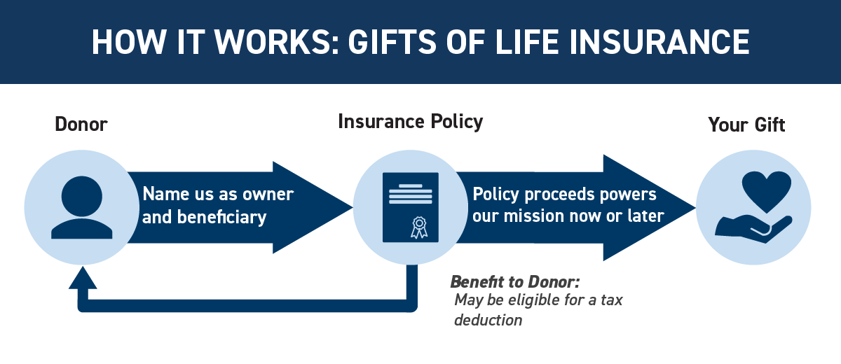 life insurance diagram